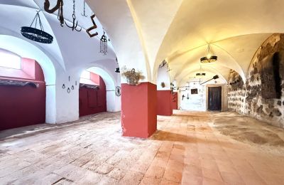 Borg til salg San Vicente de Alcántara, Extremadura, Billede 16/36