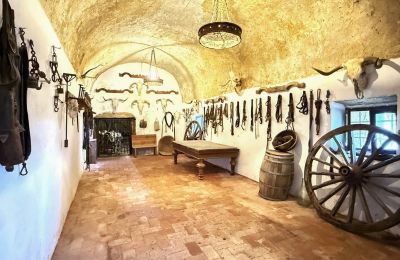 Borg til salg San Vicente de Alcántara, Extremadura, Billede 18/36