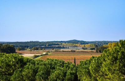 Medieval castle for sale Pouzilhac, Occitania, Photo 43/43