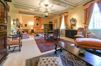 Medieval castle for sale Pouzilhac, Occitania, Photo 16/43