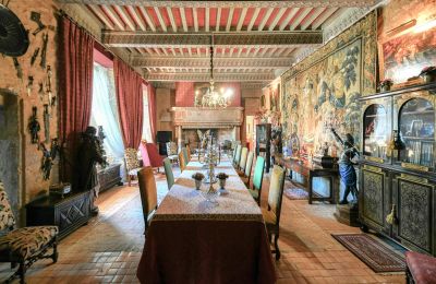 Medieval castle for sale Pouzilhac, Occitania, Photo 4/43