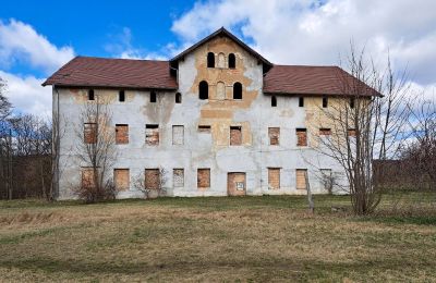 Manor house for sale Lipa, Pałac w Lipie Dolnej 10, Lower Silesia,, Front view