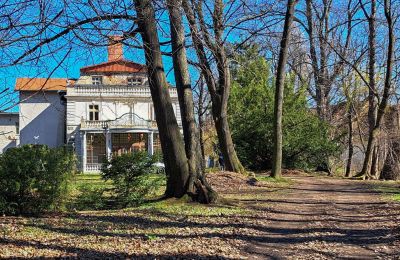 Castle for sale Bystrzyca Dolna, Lower Silesia, Photo 4/9