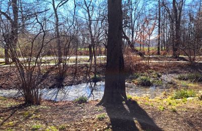 Castle for sale Bystrzyca Dolna, Lower Silesia, Photo 9/9