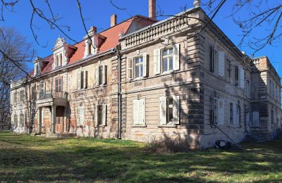 Castle for sale Bystrzyca Dolna, Lower Silesia, Photo 1/9
