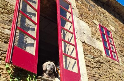 Herregård til salg Galicien, Billede 10/48