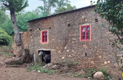 Herregård til salg Galicien, Billede 11/48