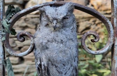 Herregård til salg Galicien, Billede 30/48