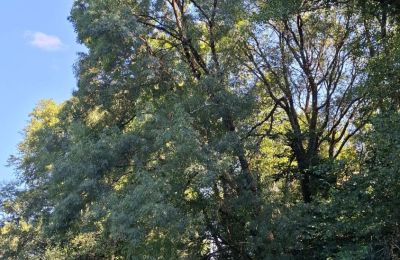 Herregård til salg Galicien, Billede 32/48