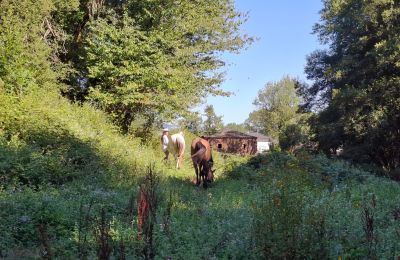 Herregård til salg Galicien, Billede 42/48