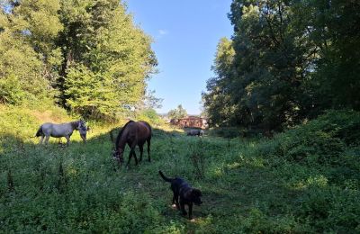 Herregård til salg Galicien, Billede 43/48