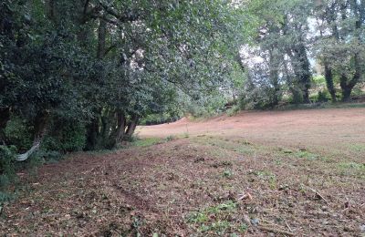 Herregård til salg Galicien, Billede 44/48