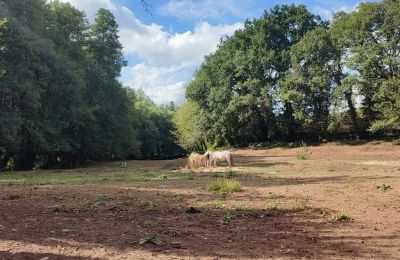 Herregård til salg Galicien, Billede 46/48