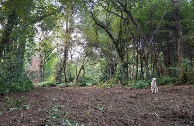 Herregård til salg Galicien, Billede 48/48