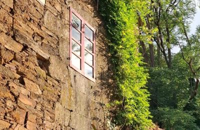 Herregård til salg Galicien, Billede 9/48