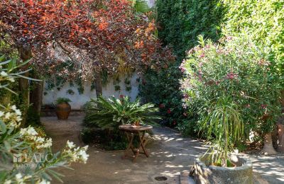 Bypalæ til salg Sóller, Balearen, Patio