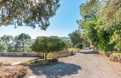Manor house for sale Palma, Balearic Islands, Photo 18/24