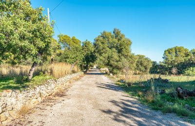 Manor house for sale Palma, Balearic Islands, Photo 20/24