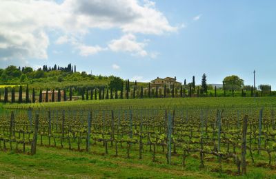 Country property for sale Sarteano, Tuscany, Photo 49/50