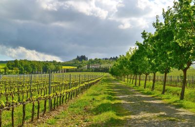 Country property for sale Sarteano, Tuscany, Photo 46/50