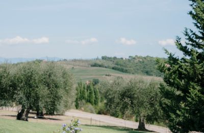 Country property for sale Sarteano, Tuscany, Photo 44/50