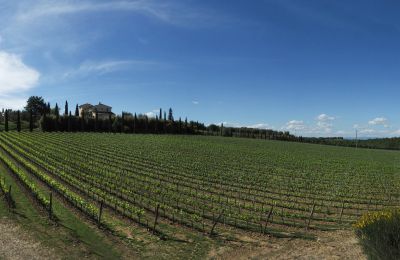 Country property for sale Sarteano, Tuscany, Photo 50/50