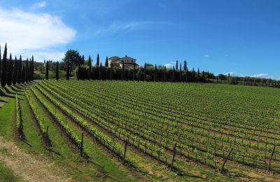 Country property for sale Sarteano, Tuscany, Photo 48/50