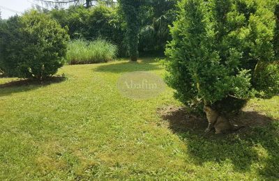 Historic villa for sale Salies-de-Béarn, New Aquitaine, Photo 17/17