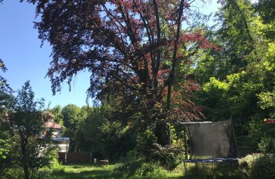 Historisk liebhaverlejlighed til salg Gera, Vollersdorfer Str. 56, Thüringen, Garten mit Buche