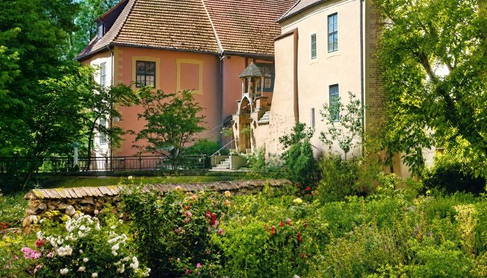 Medieval castle for sale Mecklenburg-West Pomerania