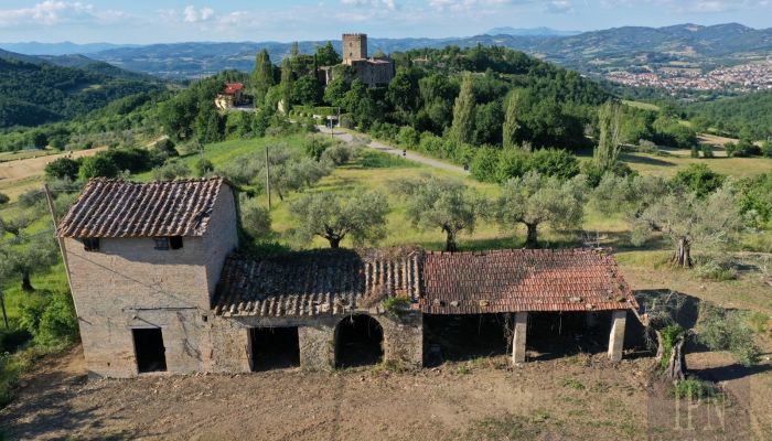  Polgeto 2