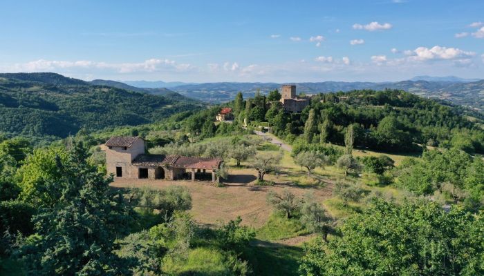  Polgeto 3