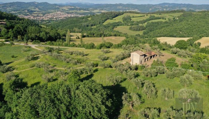  Polgeto 4