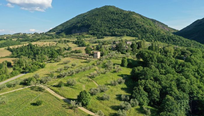  Polgeto 5