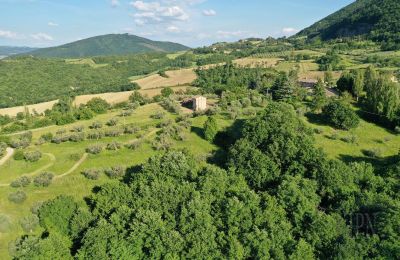 Country property for sale 06019 Polgeto, Umbria, Photo 26/28