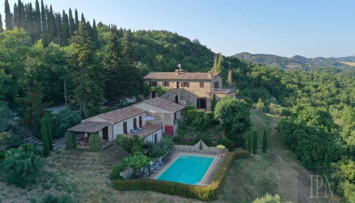  Montone 2
