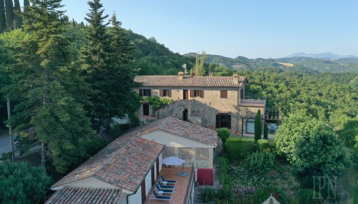  Montone 5
