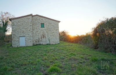 Country property for sale Italy, Photo 14/26