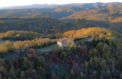Country property for sale Italy, Photo 5/26