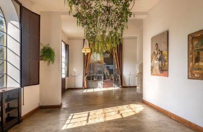 Historisk villa til salg Panicaglia, Toscana, Billede 13/24