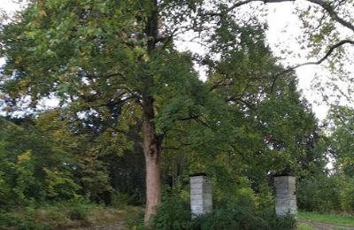 Slot til salg Kostrzyna, Kostrzyna 38, województwo dolnośląskie, Billede 12/19