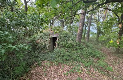 Landhus til salg 17375 Leopoldshagen, Mecklenburg-Vorpommern, Erdbunker
