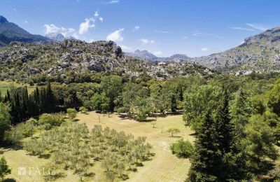 Manor house for sale Escorca, Balearic Islands, finca-escorca-40