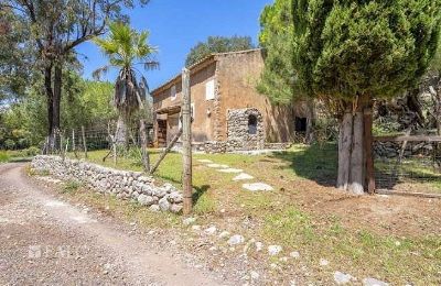 Manor house for sale Escorca, Balearic Islands, finca-escorca-29