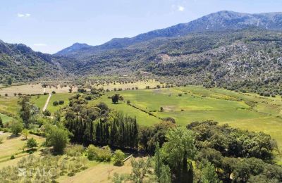 Manor house for sale Escorca, Balearic Islands, finca-escorca-39