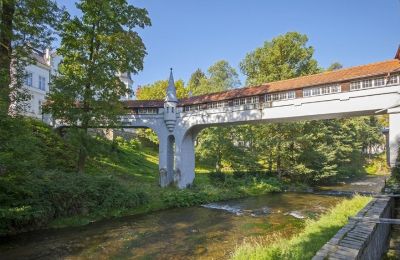 Historic villa for sale Lower Silesia, Photo 3/10