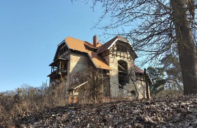 Historisk villa til salg Słubice, województwo lubuskie, Billede 3/15