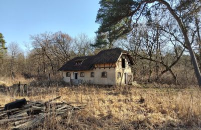 Historisk villa til salg Słubice, województwo lubuskie, Billede 4/15