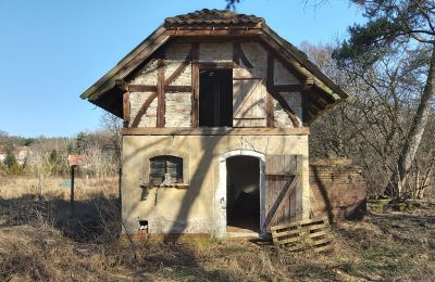 Historisk villa til salg Słubice, województwo lubuskie, Billede 5/15