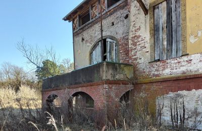 Historisk villa til salg Słubice, województwo lubuskie, Billede 9/15